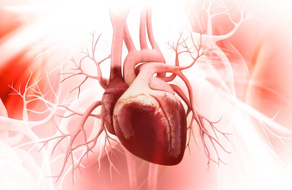 Heart Valve Awareness Day